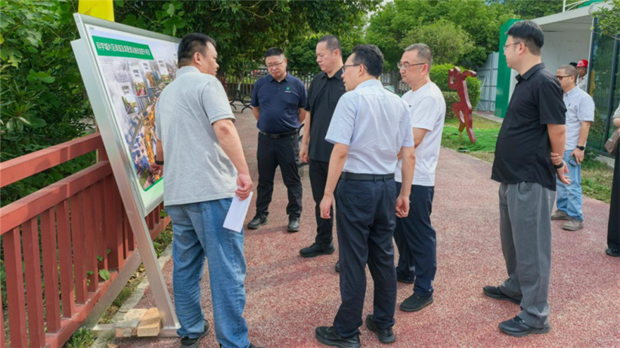 紧盯项目进度 严抓汛期安全｜MK体育集团开展在建项目及重点点位督导检查